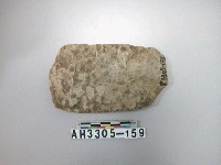 藏品(中型片狀打製石斧)的圖片